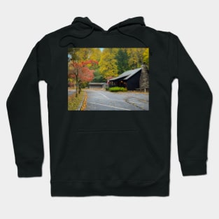 Fall in Vogel State Park Hoodie